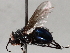  ( - BIOUG56884-D10)  @11 [ ] CreativeCommons - Attribution (2021) CBG Photography Group Centre for Biodiversity Genomics