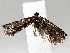  ( - BIOUG56886-C09)  @12 [ ] CreativeCommons - Attribution (2021) CBG Photography Group Centre for Biodiversity Genomics