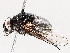  ( - BIOUG56888-G05)  @11 [ ] CreativeCommons - Attribution (2021) CBG Photography Group Centre for Biodiversity Genomics