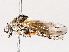 ( - BIOUG56888-G09)  @11 [ ] CreativeCommons - Attribution (2021) CBG Photography Group Centre for Biodiversity Genomics
