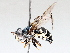  ( - BIOUG56889-E05)  @11 [ ] CreativeCommons - Attribution (2021) CBG Photography Group Centre for Biodiversity Genomics
