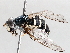  ( - BIOUG56889-G02)  @11 [ ] CreativeCommons - Attribution (2021) CBG Photography Group Centre for Biodiversity Genomics