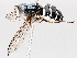  ( - BIOUG56889-H09)  @11 [ ] CreativeCommons - Attribution (2021) CBG Photography Group Centre for Biodiversity Genomics