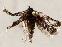  ( - BIOUG56891-E01)  @12 [ ] CreativeCommons - Attribution (2021) CBG Photography Group Centre for Biodiversity Genomics