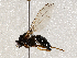  ( - BIOUG56892-C09)  @11 [ ] CreativeCommons - Attribution (2021) CBG Photography Group Centre for Biodiversity Genomics