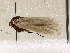  ( - BIOUG56892-H09)  @12 [ ] CreativeCommons - Attribution (2021) CBG Photography Group Centre for Biodiversity Genomics