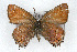  ( - CSU-CPG-LEP001097)  @13 [ ] CreativeCommons - Attribution (2009) Unspecified Unspecified