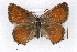  ( - CSU-CPG-LEP001099)  @13 [ ] CreativeCommons - Attribution (2009) Unspecified Unspecified