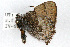  ( - CSU-CPG-LEP001122)  @12 [ ] CreativeCommons - Attribution (2009) Unspecified Unspecified