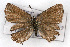  ( - CSU-CPG-LEP001123)  @12 [ ] CreativeCommons - Attribution (2009) Unspecified Unspecified