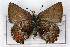  ( - CSU-CPG-LEP001127)  @13 [ ] CreativeCommons - Attribution (2009) Unspecified Unspecified