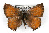  ( - CSU-CPG-LEP001128)  @14 [ ] CreativeCommons - Attribution (2009) Unspecified Unspecified