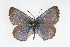  ( - CSU-CPG-LEP001229)  @12 [ ] CreativeCommons - Attribution (2009) Unspecified Unspecified