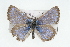  ( - CSU-CPG-LEP001231)  @12 [ ] CreativeCommons - Attribution (2009) Unspecified Unspecified
