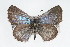  ( - CSU-CPG-LEP001232)  @12 [ ] CreativeCommons - Attribution (2009) Unspecified Unspecified