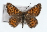  ( - CSU-CPG-LEP001293)  @14 [ ] CreativeCommons - Attribution (2009) Unspecified Unspecified