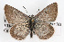  ( - CSU-CPG-LEP001378)  @14 [ ] CreativeCommons - Attribution (2009) Unspecified Unspecified