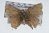  ( - CSU-CPG-LEP001419)  @12 [ ] CreativeCommons - Attribution (2009) Unspecified Unspecified