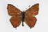  ( - CSU-CPG-LEP001420)  @13 [ ] CreativeCommons - Attribution (2009) Unspecified Unspecified