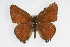  ( - CSU-CPG-LEP001421)  @13 [ ] CreativeCommons - Attribution (2009) Unspecified Unspecified