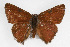  ( - CSU-CPG-LEP001423)  @13 [ ] CreativeCommons - Attribution (2009) Unspecified Unspecified