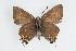  ( - CSU-CPG-LEP001427)  @13 [ ] CreativeCommons - Attribution (2009) Unspecified Unspecified