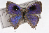  ( - CSU-CPG-LEP001432)  @13 [ ] CreativeCommons - Attribution (2009) Unspecified Unspecified