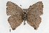  ( - CSU-CPG-LEP001434)  @13 [ ] CreativeCommons - Attribution (2009) Unspecified Unspecified