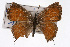  ( - CSU-CPG-LEP001469)  @13 [ ] CreativeCommons - Attribution (2009) Unspecified Unspecified