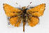  ( - CSU-CPG-LEP001558)  @13 [ ] CreativeCommons - Attribution (2009) Unspecified Colorado State University