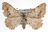  ( - CSU-CPG-LEP001603)  @14 [ ] CreativeCommons - Attribution (2009) Unspecified Unspecified