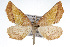  ( - CSU-CPG-LEP001622)  @11 [ ] CreativeCommons - Attribution (2009) Unspecified Unspecified