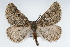  ( - CSU-CPG-LEP001653)  @14 [ ] CreativeCommons - Attribution (2009) Unspecified Unspecified