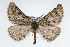  ( - CSU-CPG-LEP001654)  @14 [ ] CreativeCommons - Attribution (2009) Unspecified Unspecified