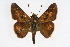  ( - CSU-CPG-LEP001669)  @14 [ ] CreativeCommons - Attribution (2009) Unspecified Unspecified