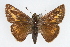  ( - CSU-CPG-LEP001670)  @11 [ ] CreativeCommons - Attribution (2009) Unspecified Unspecified