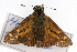  ( - CSU-CPG-LEP001671)  @12 [ ] CreativeCommons - Attribution (2009) Unspecified Unspecified