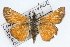  ( - CSU-CPG-LEP001674)  @13 [ ] CreativeCommons - Attribution (2009) Unspecified Unspecified