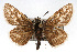  ( - CSU-CPG-LEP001681)  @14 [ ] CreativeCommons - Attribution (2009) Unspecified Unspecified
