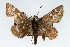  ( - CSU-CPG-LEP001682)  @12 [ ] CreativeCommons - Attribution (2009) Unspecified Unspecified