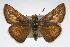  ( - CSU-CPG-LEP001692)  @14 [ ] CreativeCommons - Attribution (2009) Unspecified Unspecified