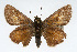  ( - CSU-CPG-LEP001693)  @14 [ ] CreativeCommons - Attribution (2009) Unspecified Unspecified