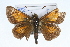  ( - CSU-CPG-LEP001702)  @13 [ ] CreativeCommons - Attribution (2009) Unspecified Unspecified