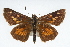  ( - CSU-CPG-LEP001705)  @14 [ ] CreativeCommons - Attribution (2009) Unspecified Unspecified