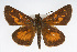  ( - CSU-CPG-LEP001708)  @13 [ ] CreativeCommons - Attribution (2009) Unspecified Unspecified