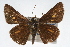  ( - CSU-CPG-LEP001712)  @13 [ ] CreativeCommons - Attribution (2009) Unspecified Unspecified