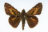  ( - CSU-CPG-LEP001715)  @14 [ ] CreativeCommons - Attribution (2009) Unspecified Unspecified