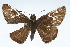  ( - CSU-CPG-LEP001720)  @13 [ ] CreativeCommons - Attribution (2009) Unspecified Unspecified