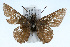  ( - CSU-CPG-LEP001723)  @12 [ ] CreativeCommons - Attribution (2009) Unspecified Unspecified