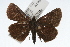  ( - CSU-CPG-LEP001733)  @13 [ ] CreativeCommons - Attribution (2009) Unspecified Unspecified